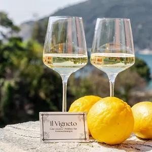 Casa vacanze Il Vigneto, Moneglia
